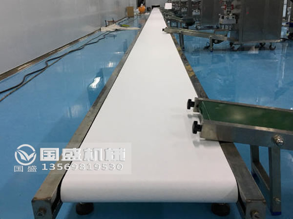 輕型皮帶輸送機(jī)