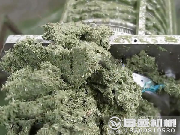 白菜壓榨機(jī)
