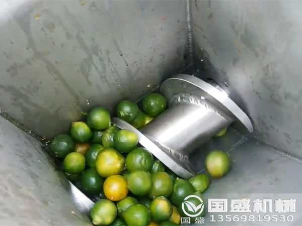 水果壓榨機(jī)什么牌子好