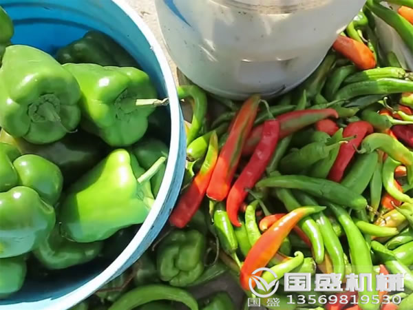 果蔬壓榨機設(shè)備