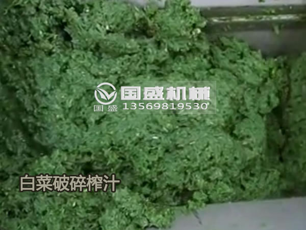 生姜芹菜榨汁脫水壓榨機(jī)