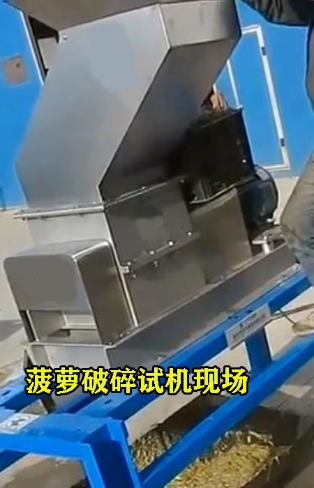 菠蘿破碎試機(jī)