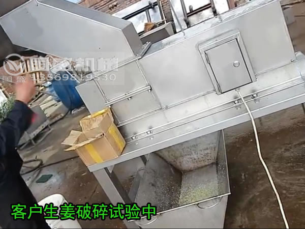 壓榨機(jī)使用現(xiàn)場(chǎng)展示