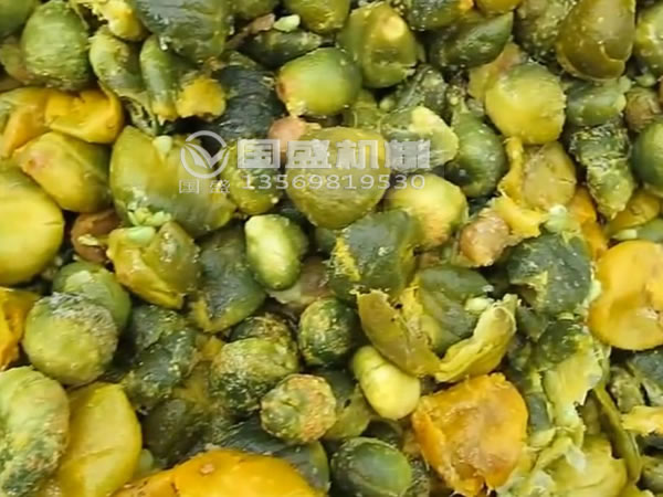 橘子皮變廢為寶加工設(shè)備