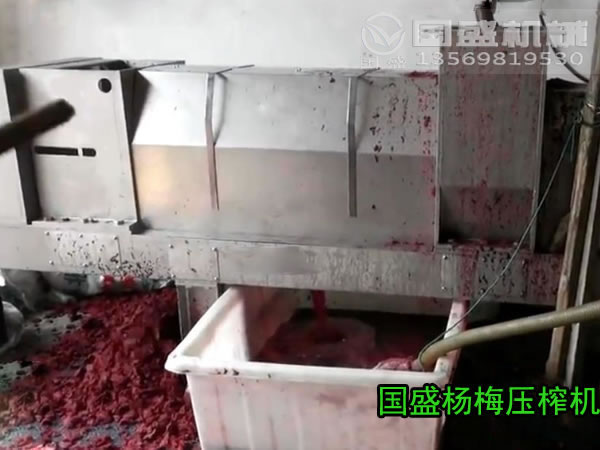 鮮楊梅發(fā)酵脫汁設(shè)備