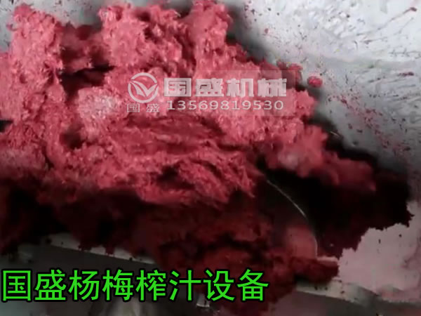 楊梅榨汁設(shè)備
