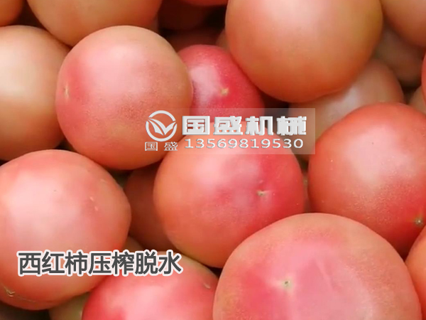 西紅柿壓榨脫水機(jī)