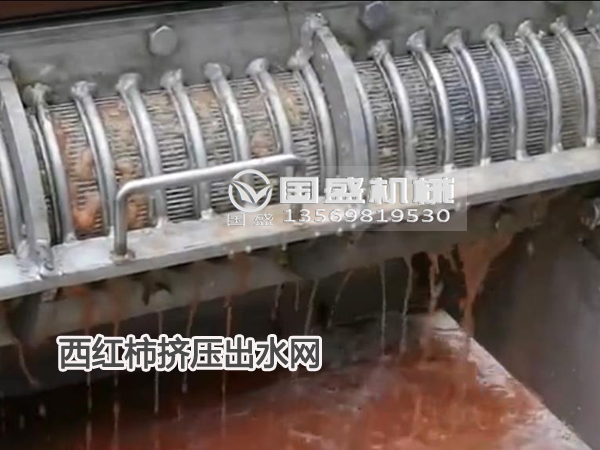 西紅柿擠壓榨汁脫水機(jī)