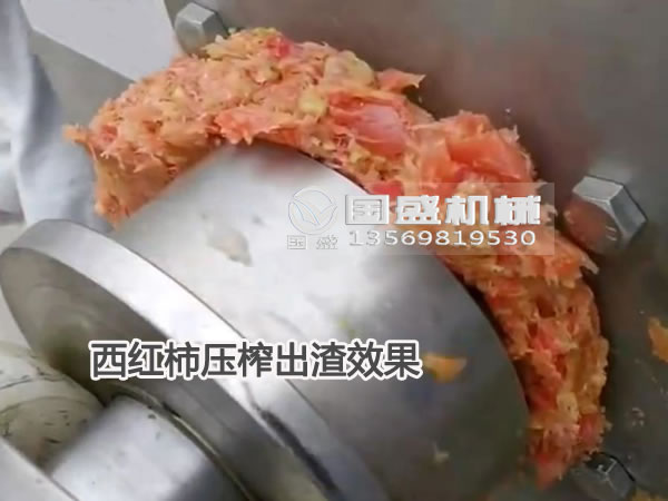 果蔬壓榨機(jī)